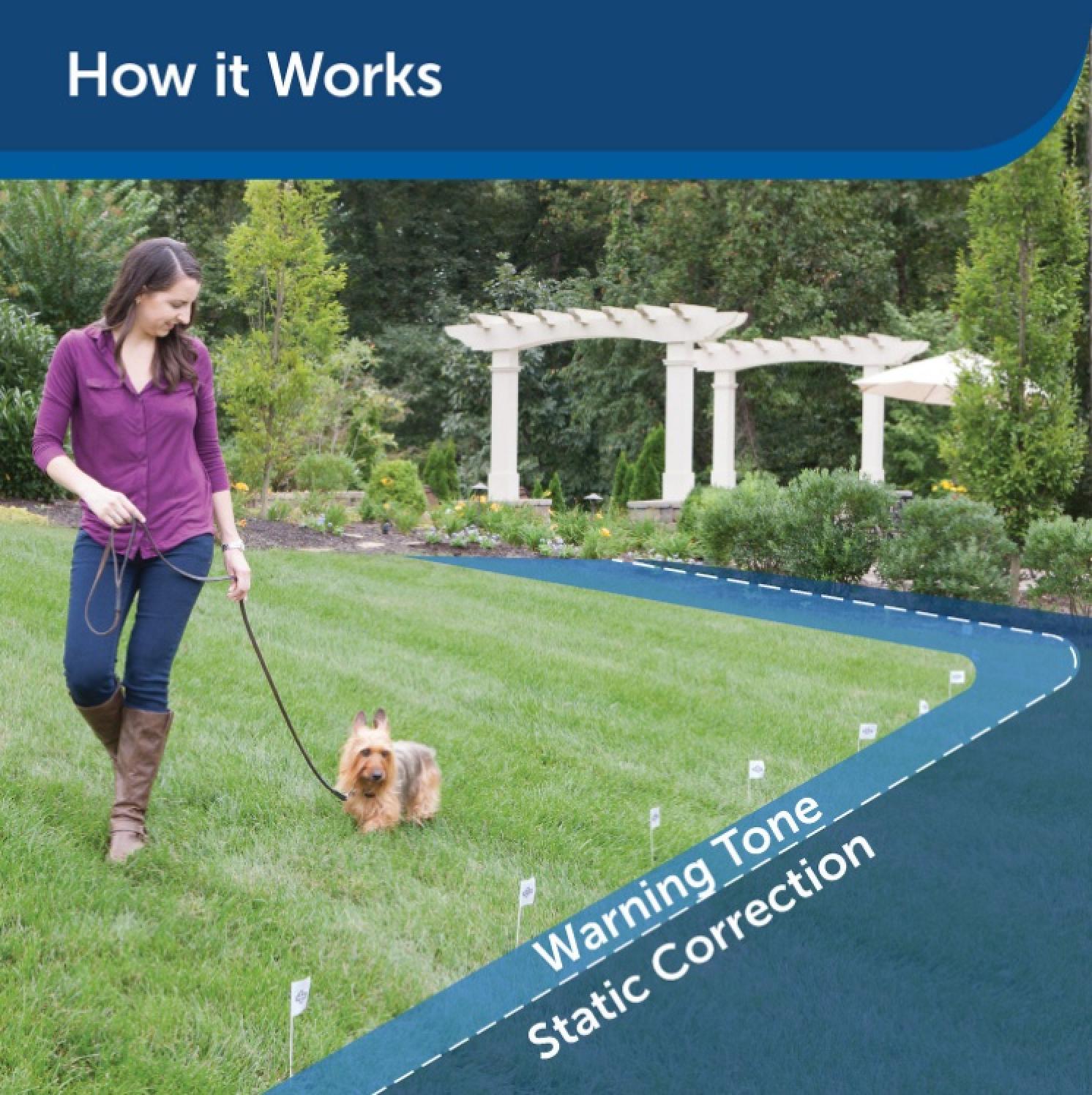 PetSafe Deluxe UltraLight Receiver Collar How It Works