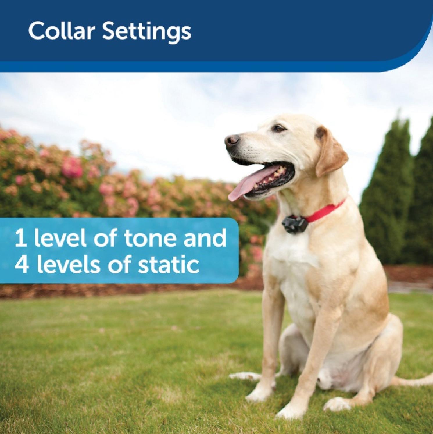 PetSafe Deluxe UltraLight Receiver Collar Settings