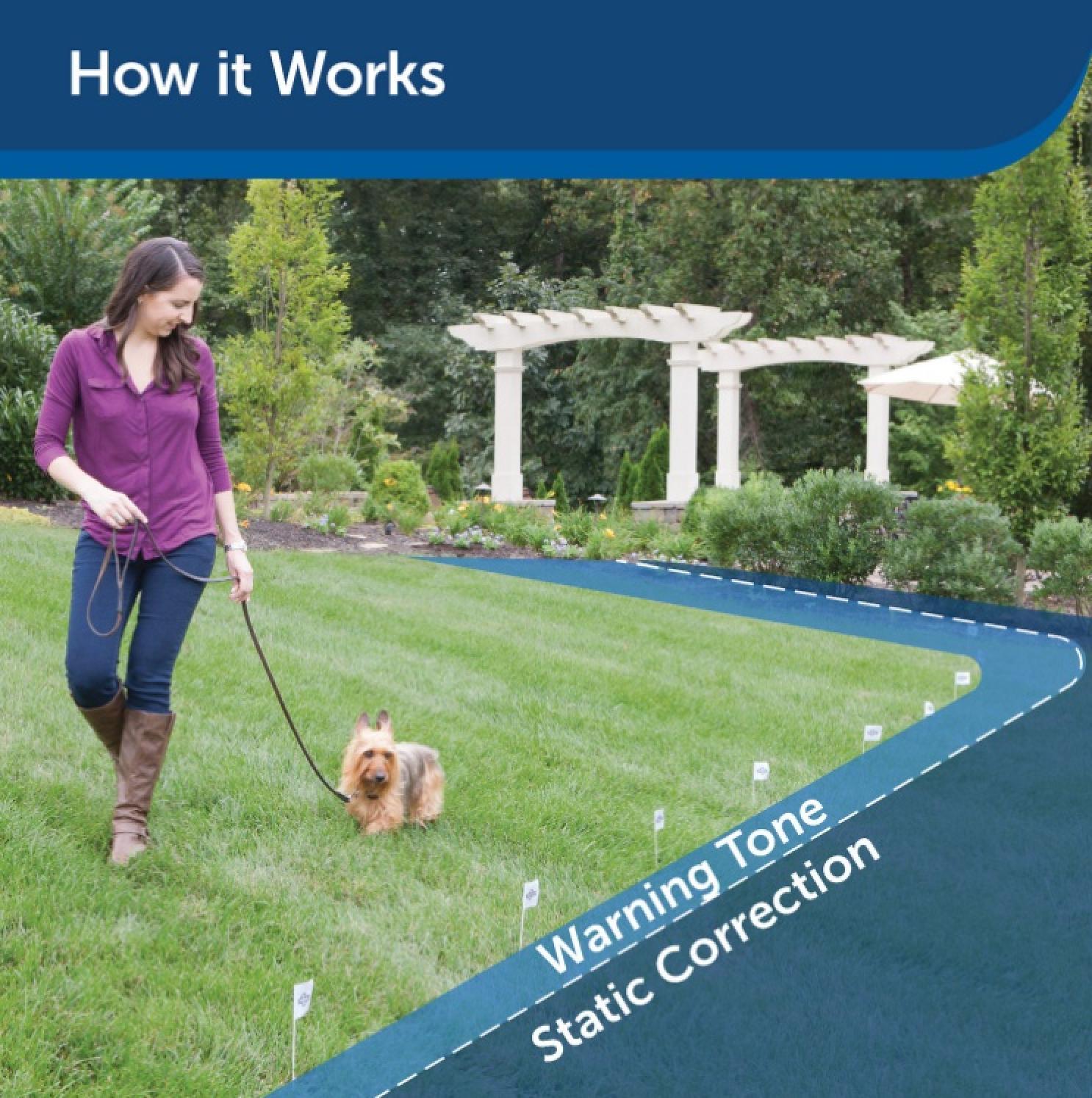 PetSafe In-Ground Fence System How It Works