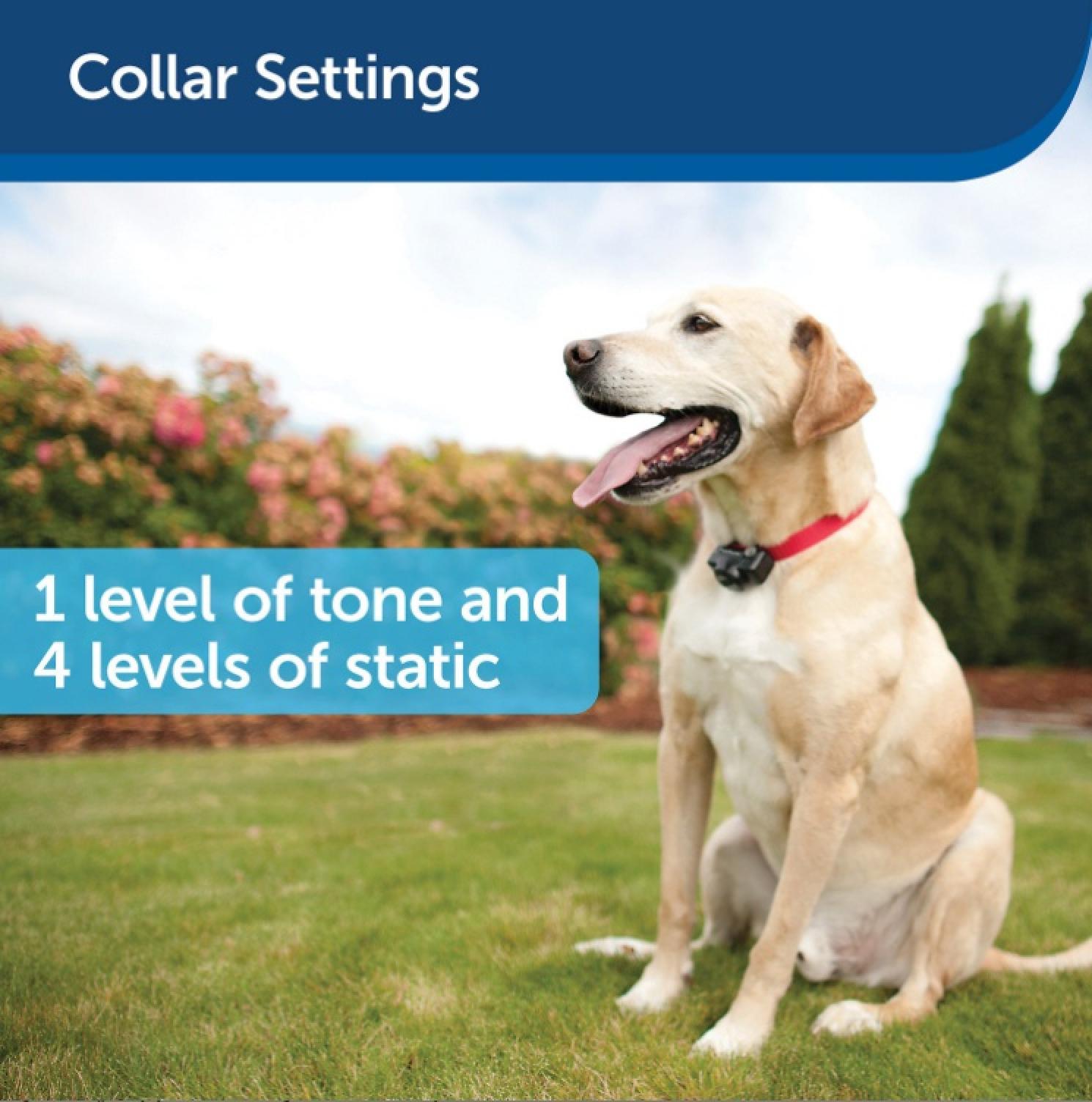 PetSafe In-Ground Fence System Collar Settings