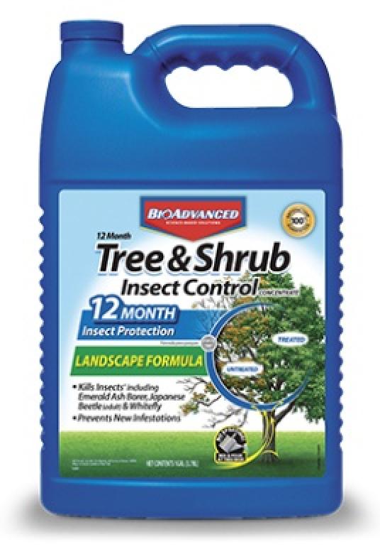 Bayer Tree & Shrub Insect Control