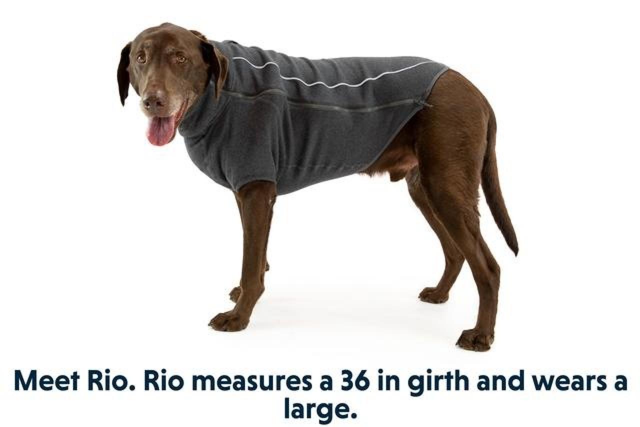 Ruffwear Fernie™ Dog Sweater