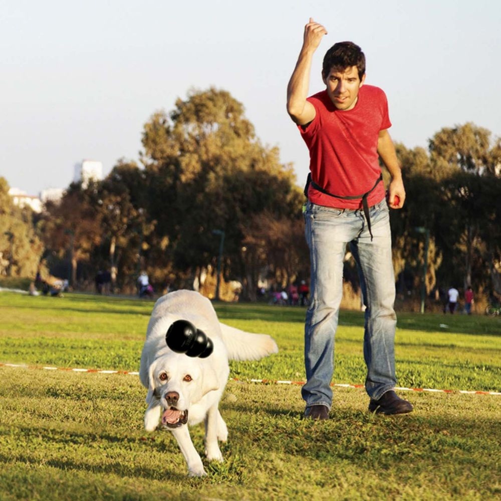 KONG® Extreme Dog Toy