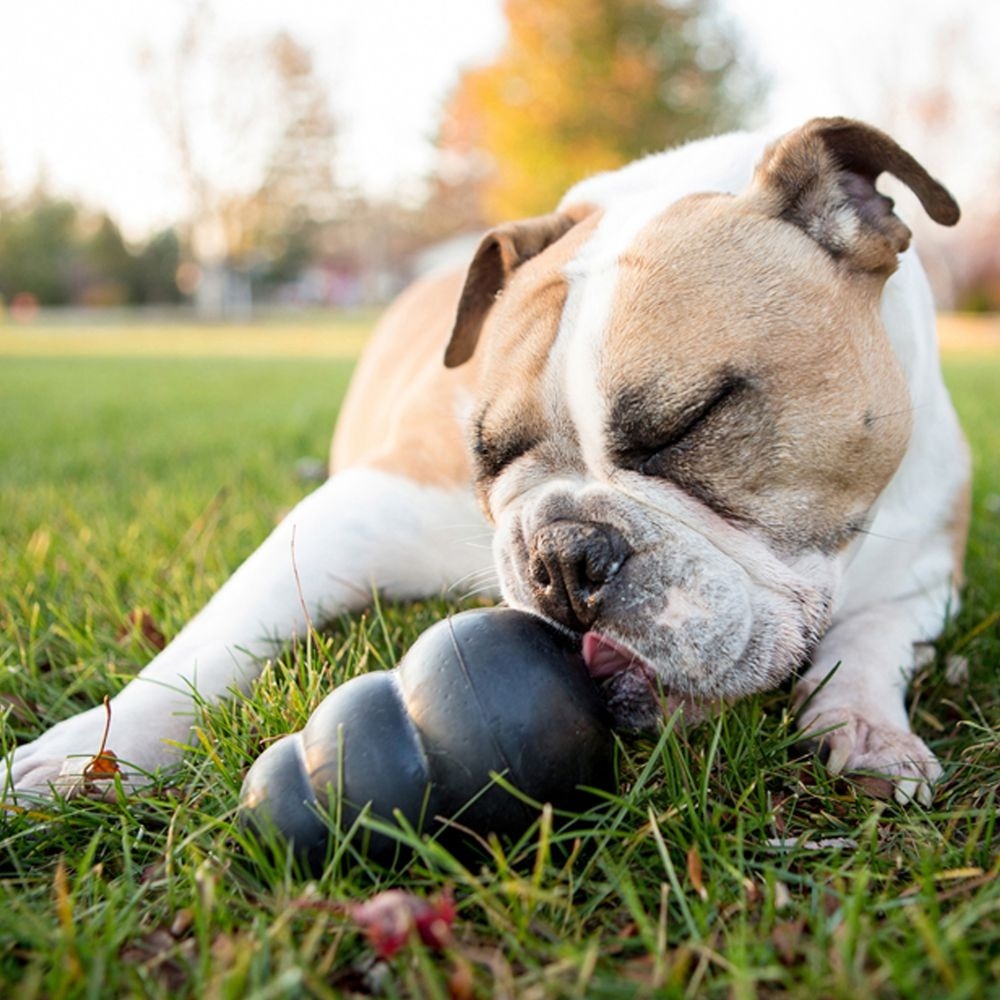 KONG® Extreme Dog Toy