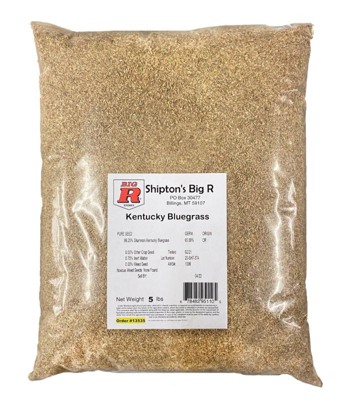 Shipton's Big R Kentucky Bluegrass Seed