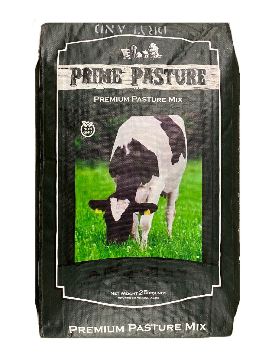 Shipton's Big R Dryland Max Pasture Seed