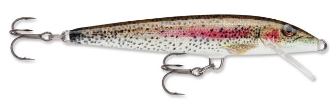 Live Rainbow Trout