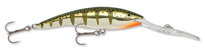 Yellow Perch