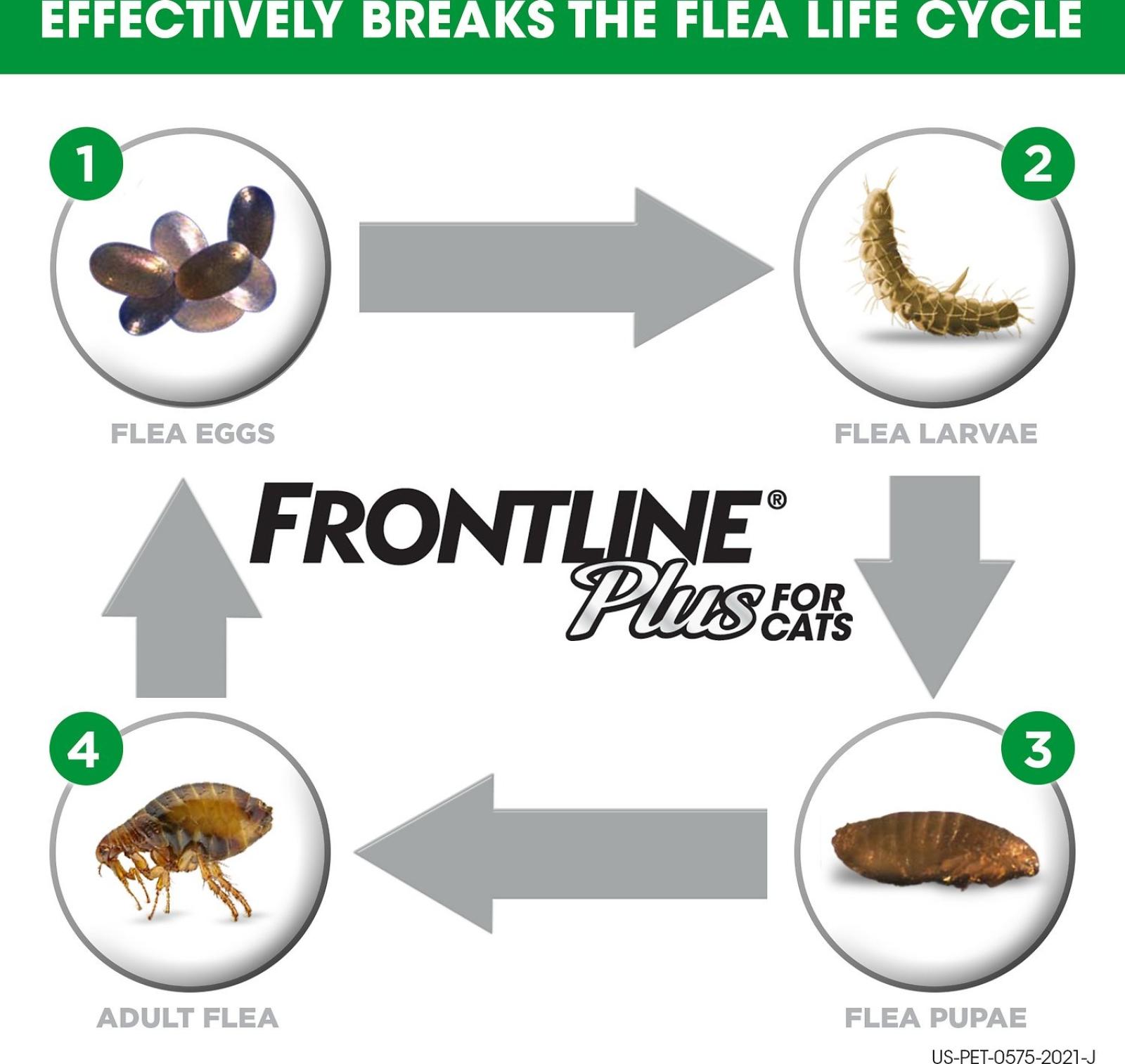 Frontline Plus Flea & Tick Spot Treatment for Cats