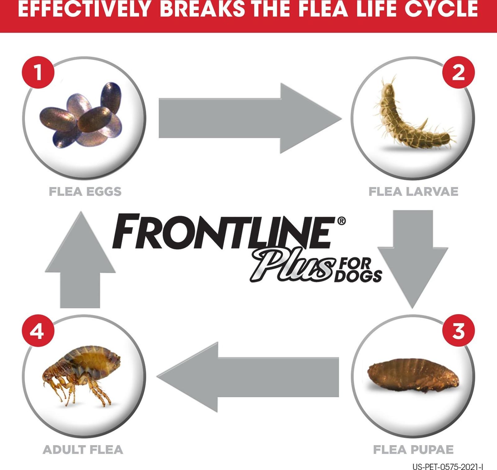 Frontline Plus Flea & Tick Spot Treatment for Dogs