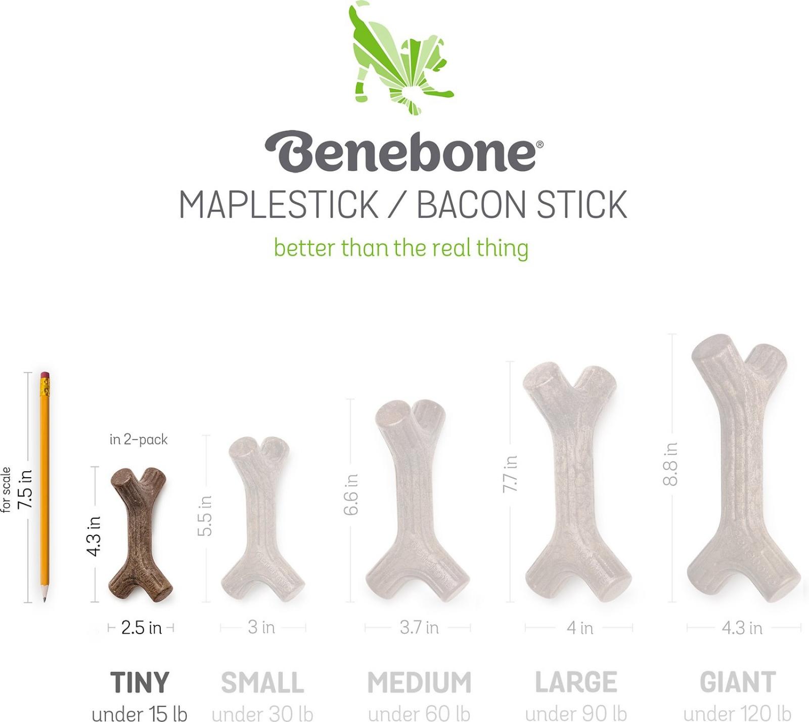 Benebone Tiny 2-Pack with Maplestick & Zaggler