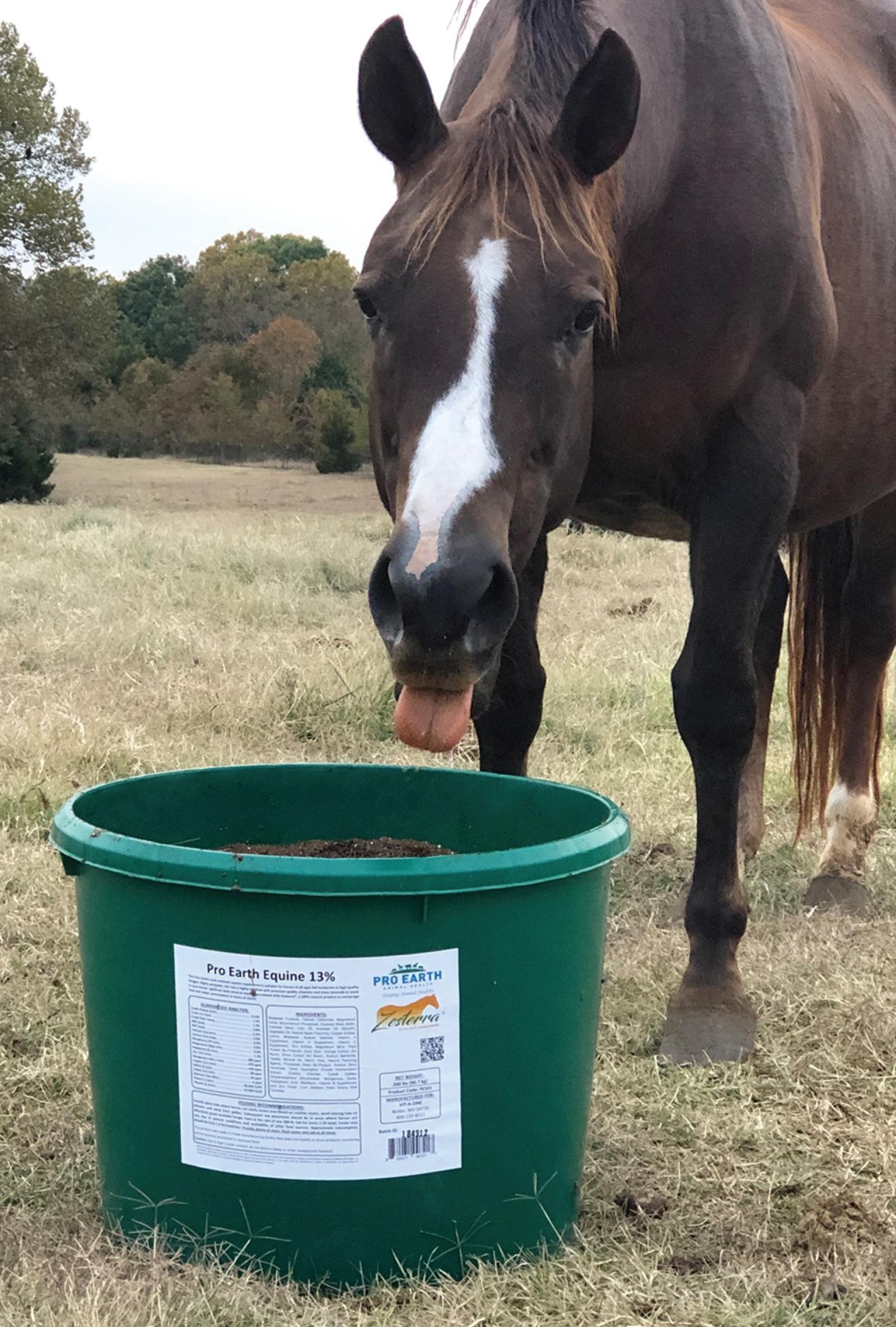 Pro Earth Equine Tub with Zesterra