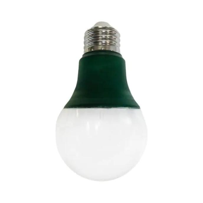 StonePoint A19 LED Grow Bulb