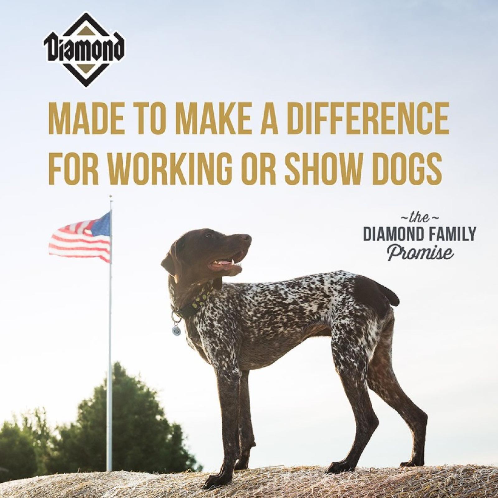 Diamond Premium Adult Formula Dry Dog Food Info