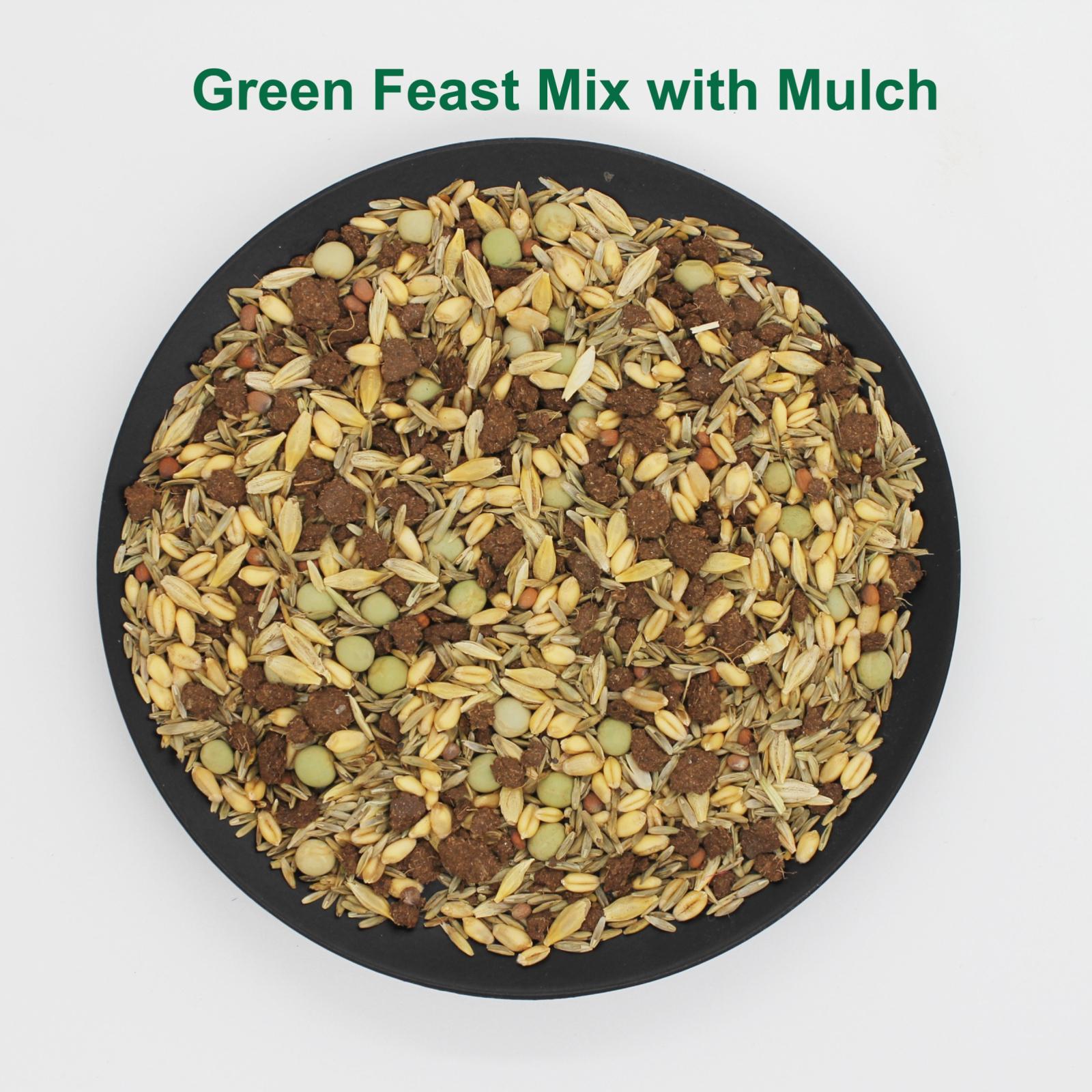 Amturf Green Feast Forage Mix