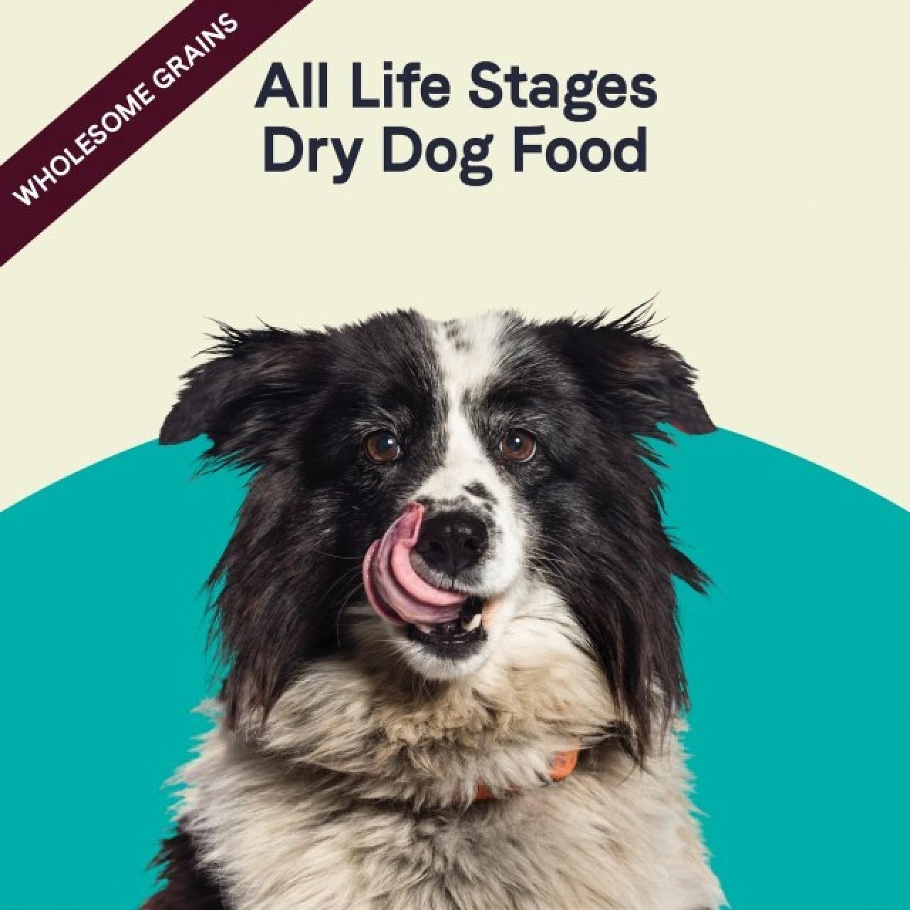 Canidae All Life Stages dog food