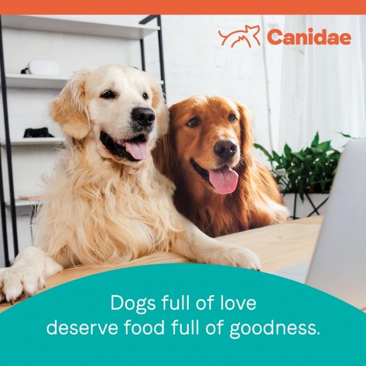 Canidae All Life Stages dog food