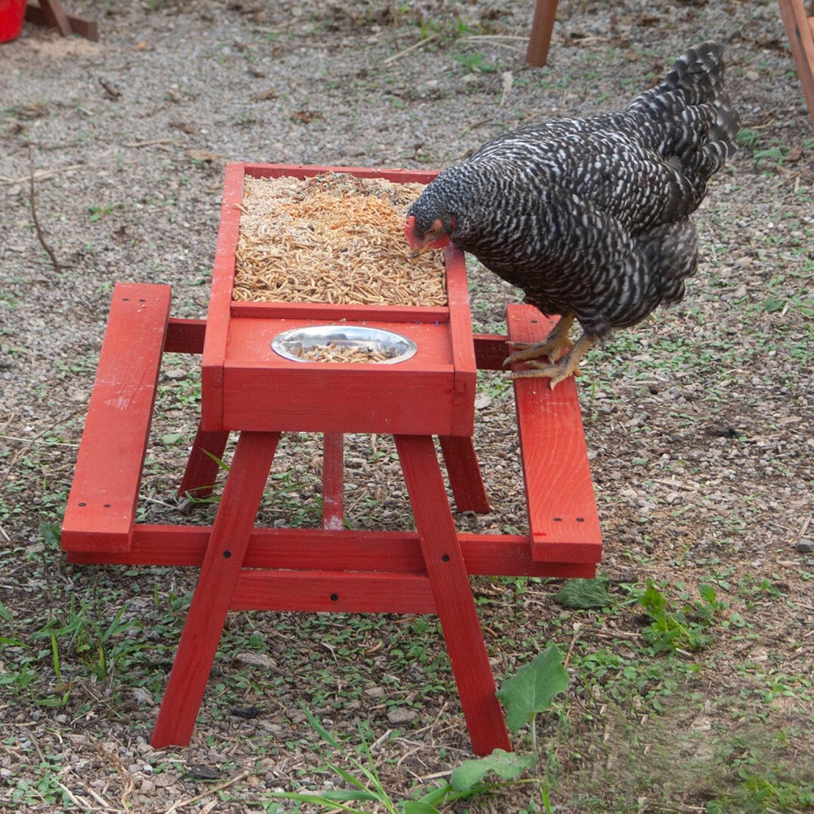 Coops & Feathers Chick-Nic Table Poultry Feeder