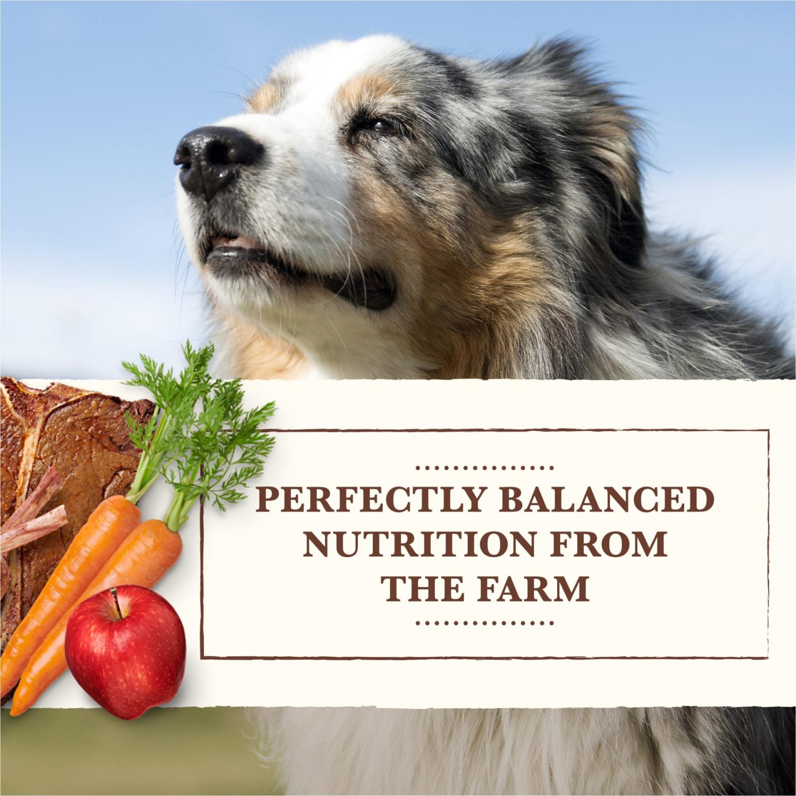 Whole Earth Farms Grain Free Red Meat Wet Dog Food