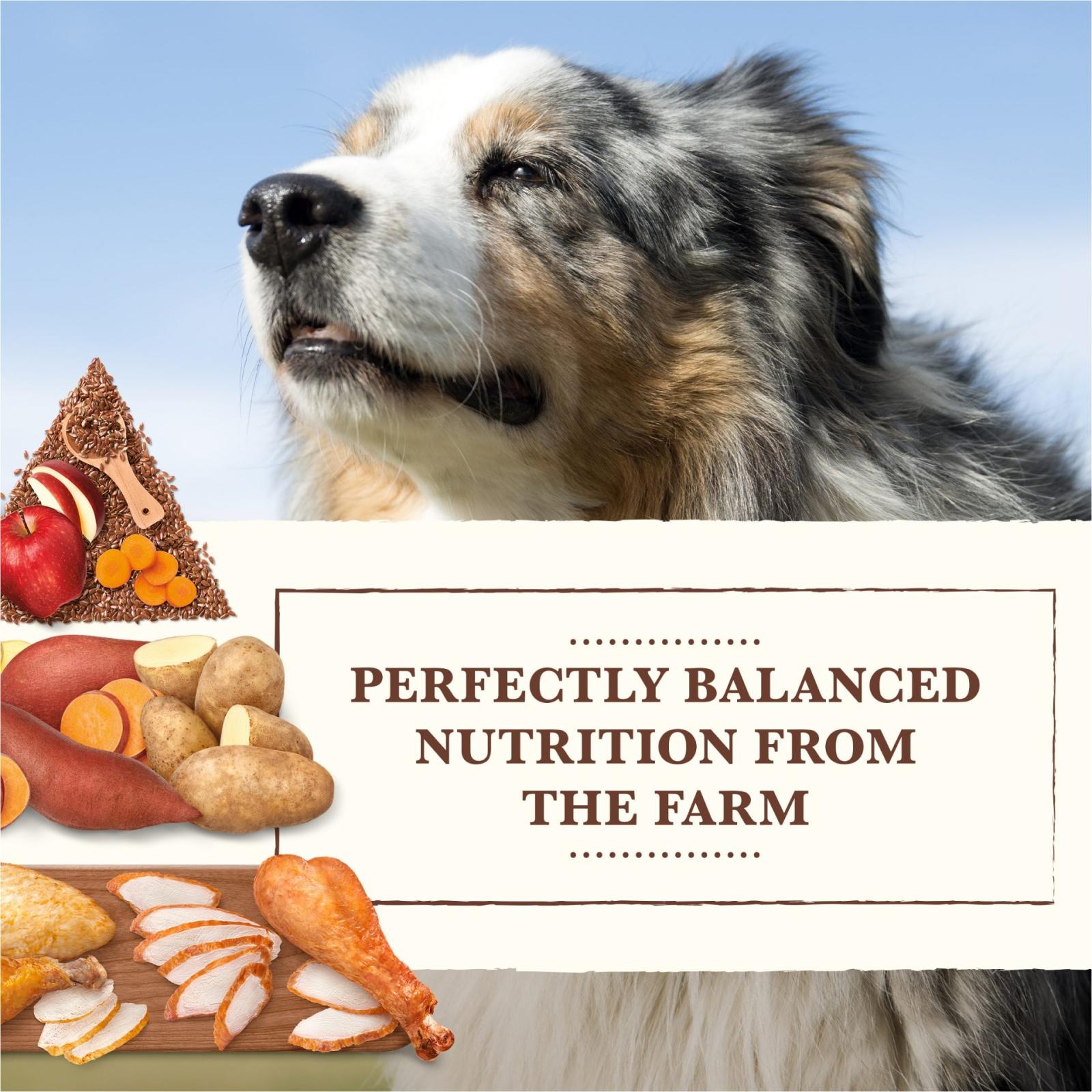 Whole Earth Farms Grain Free Chicken & Turkey Dry Dog Food