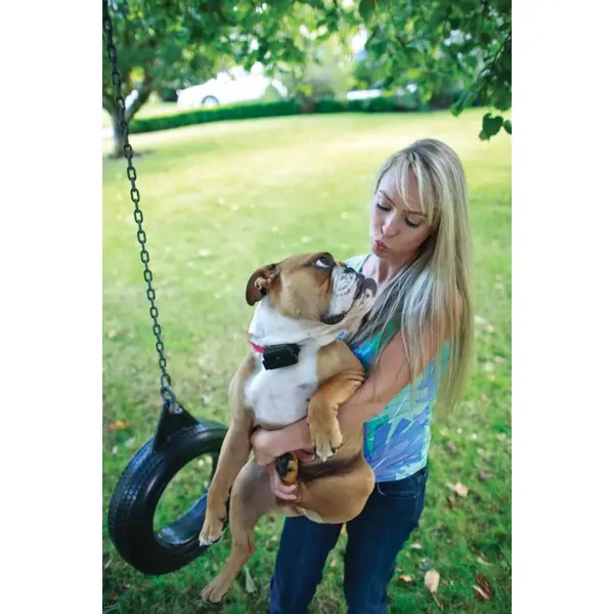 PetSafe Stubborn Dog In-Ground Fence Bundle