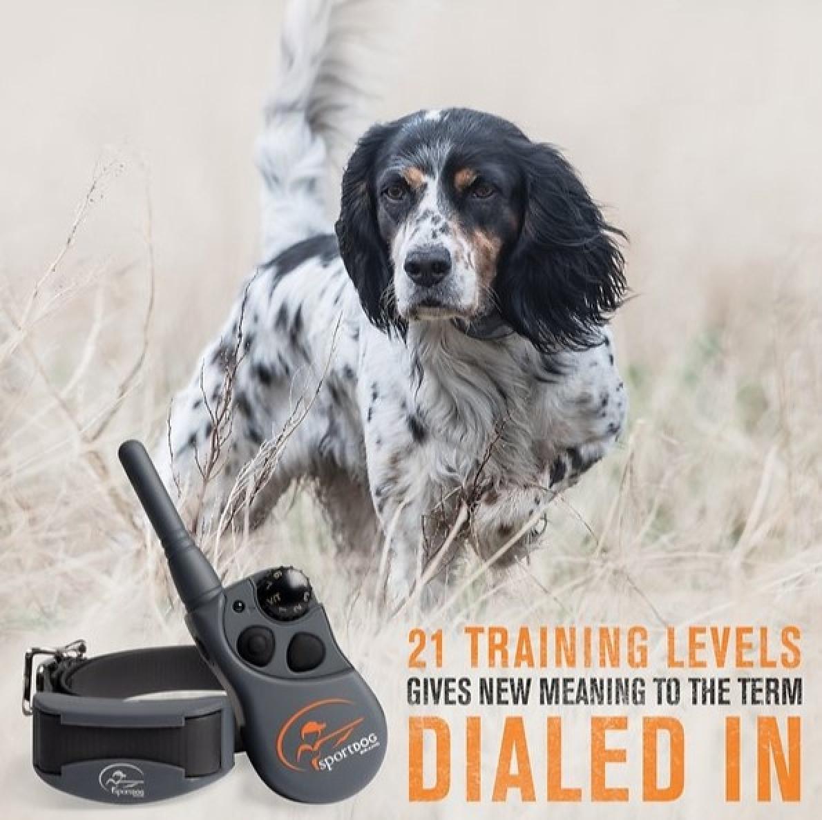 SportDOG FieldTrainer 425X Remote Trainer Dog Collar