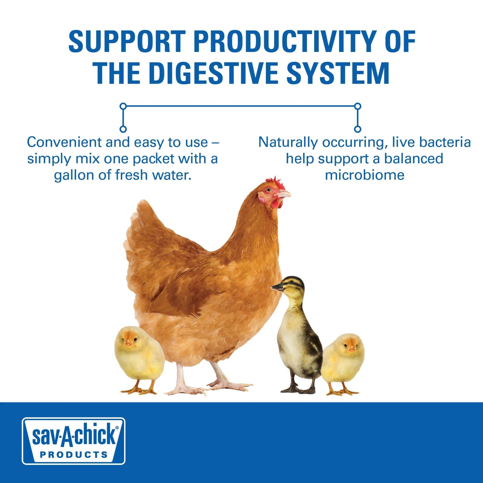 Sav-A-Chick Probiotic Supplement