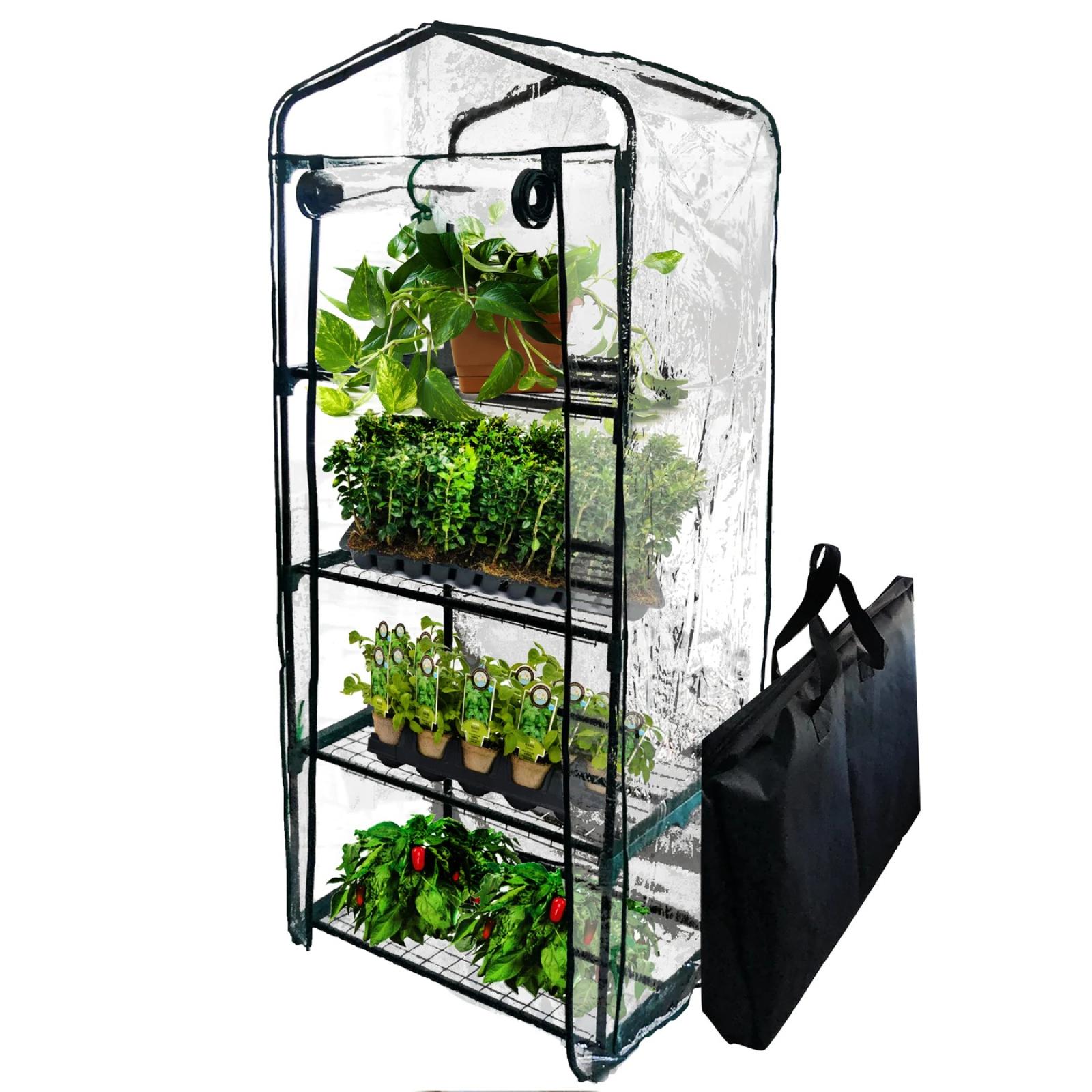 Backyard Expressions Portable Mini Greenhouse
