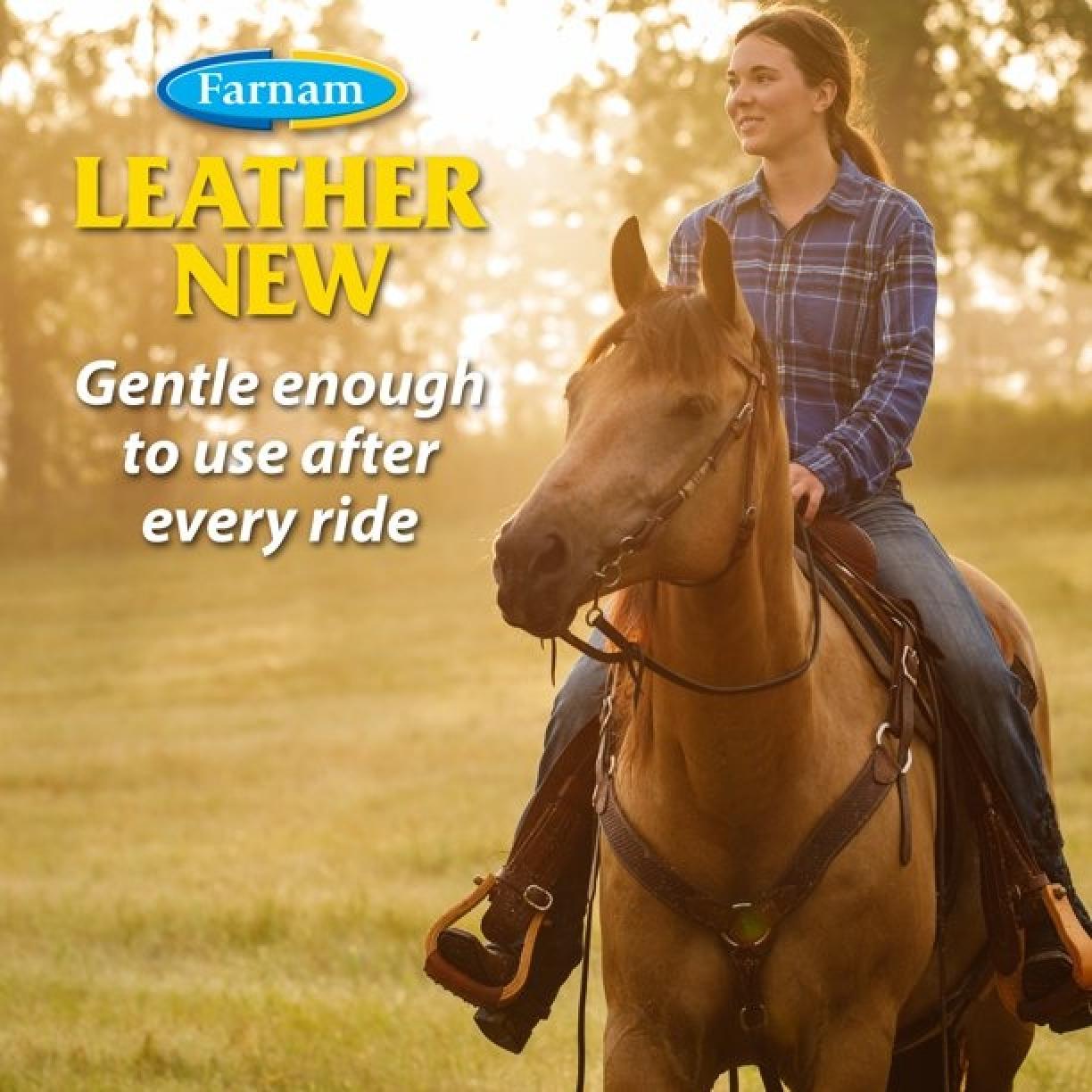 Farnam Leather New Easy-Polishing Glycerine Saddle Soap