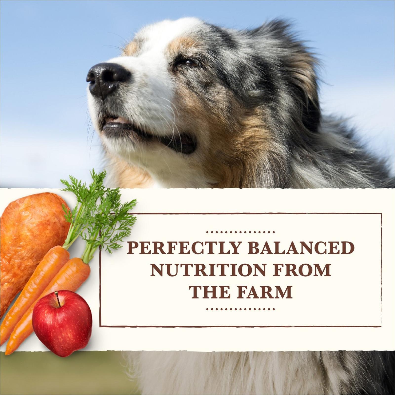Whole Earth Farms Grain Free Chicken & Turkey Wet Dog Food