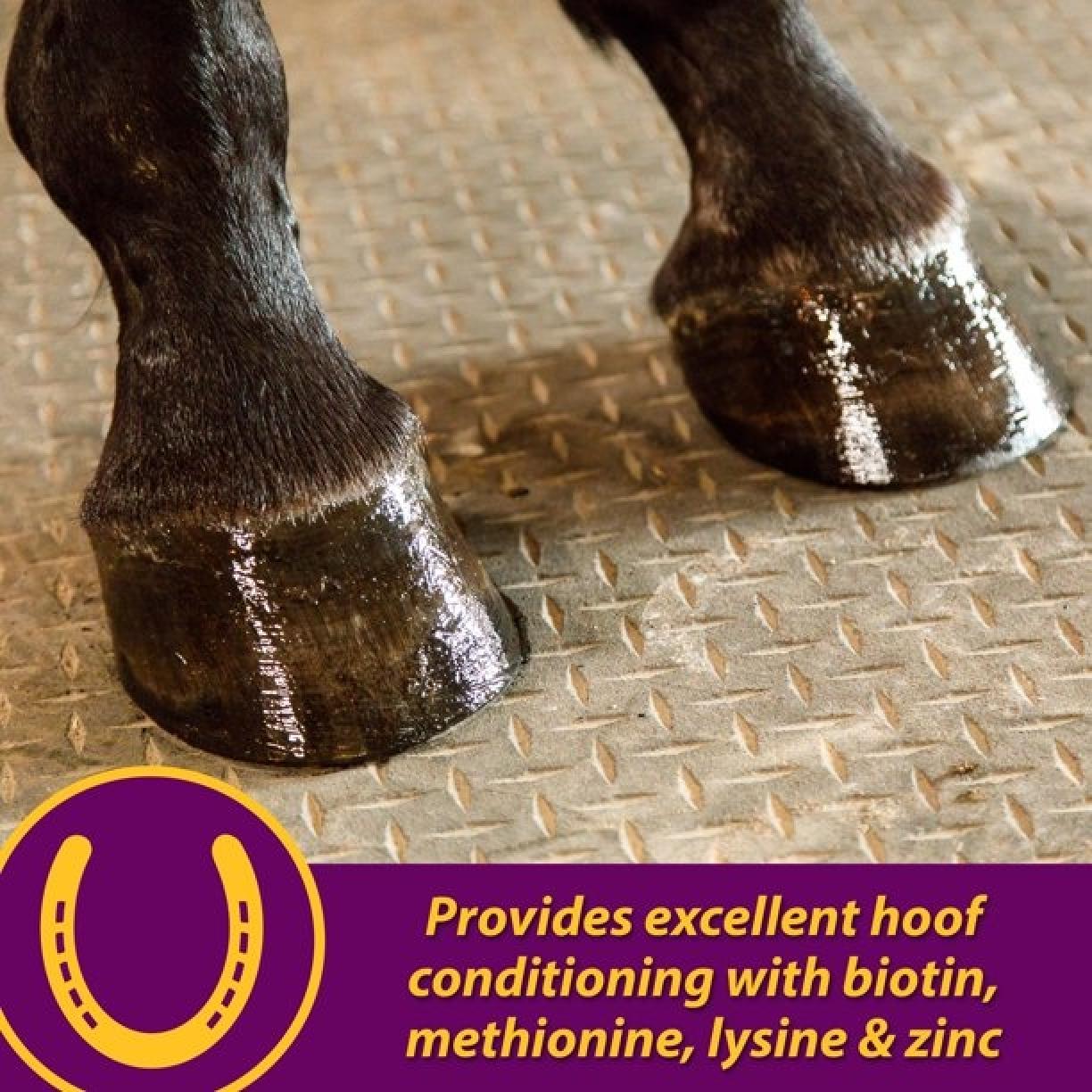 Horse Health Products Joint Combo Hoof & Coat