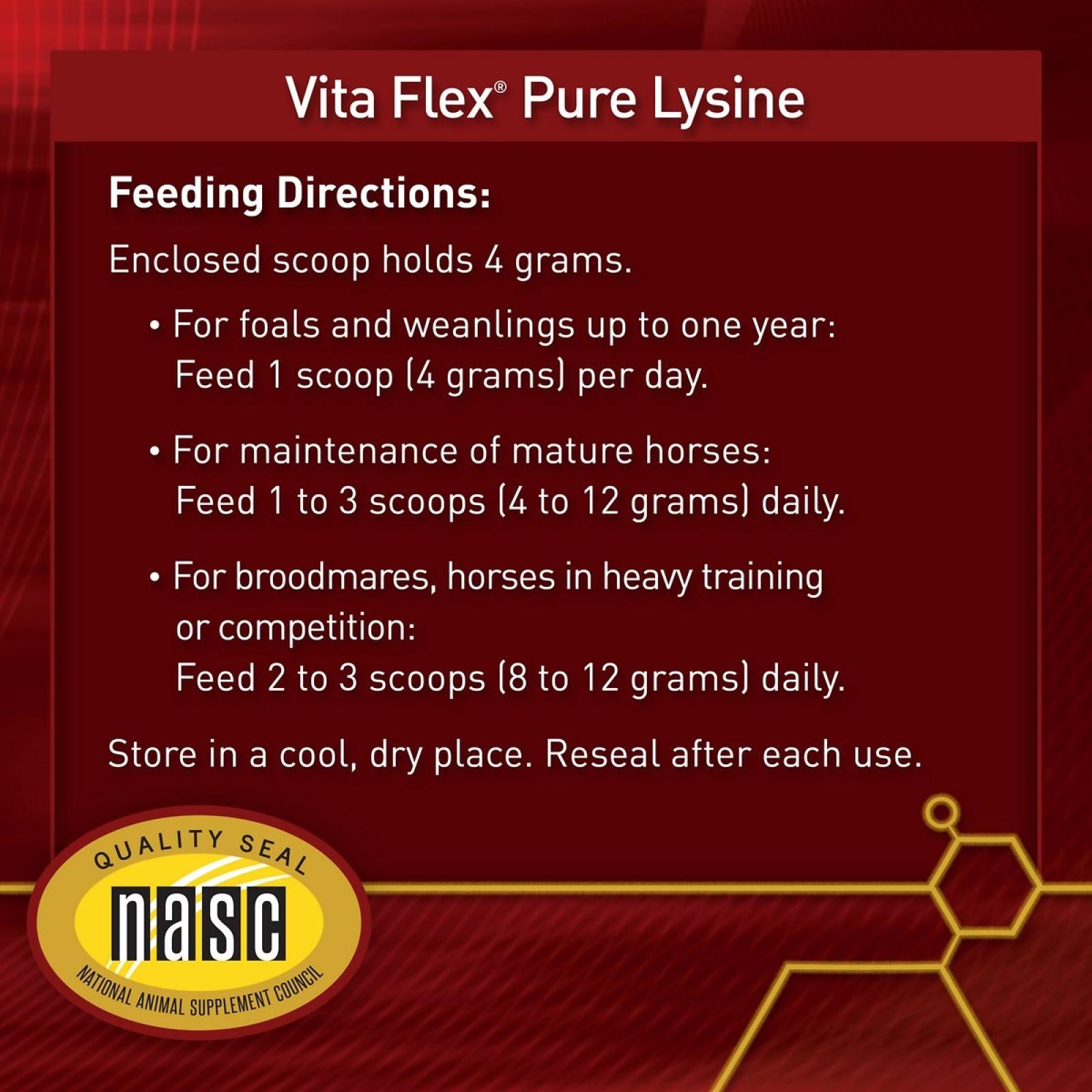 Vita Flex Pure Lysine