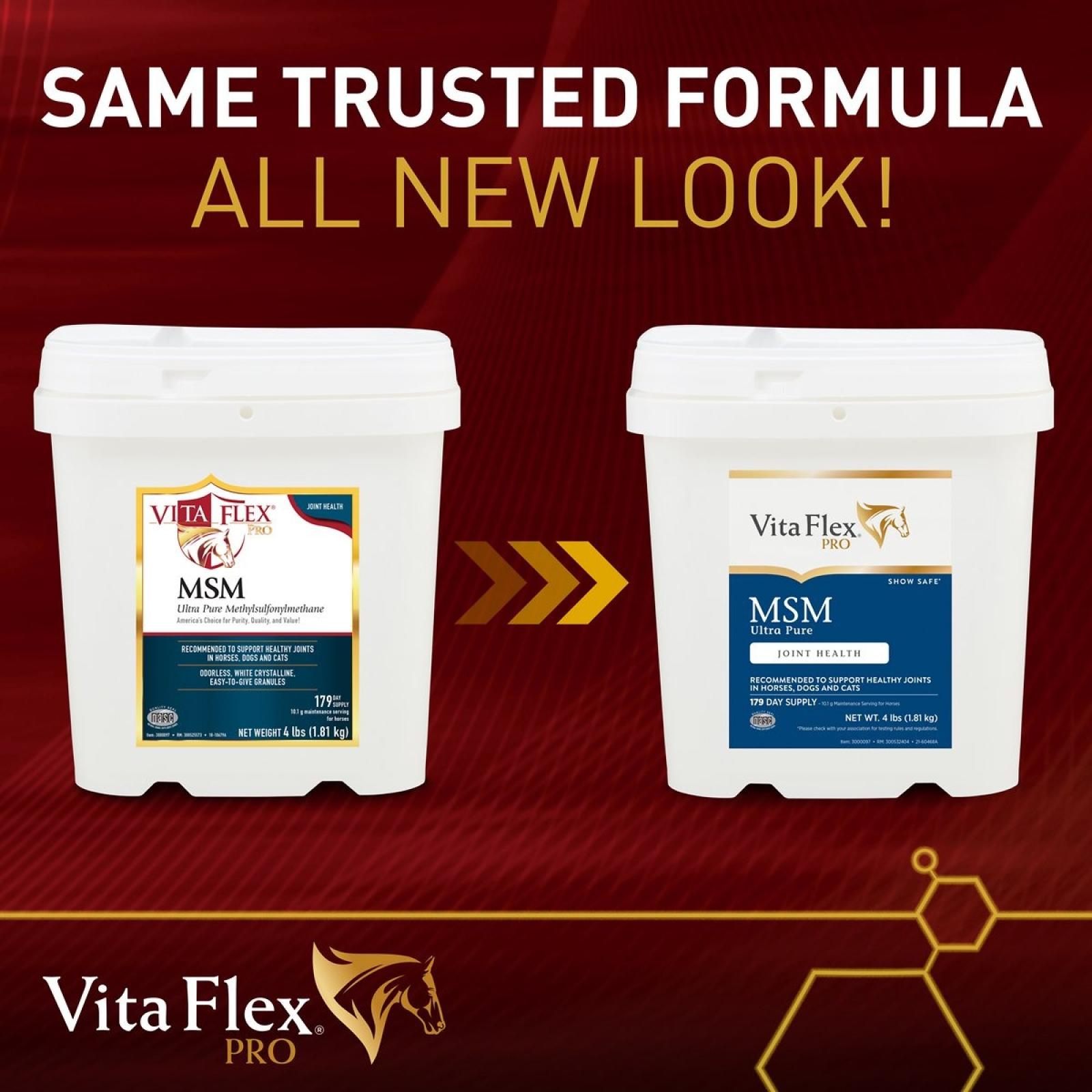 Vita Flex MSM Ultra Pure Joint Health