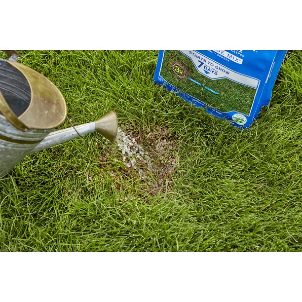 Scotts PatchMaster Lawn Repair Mix