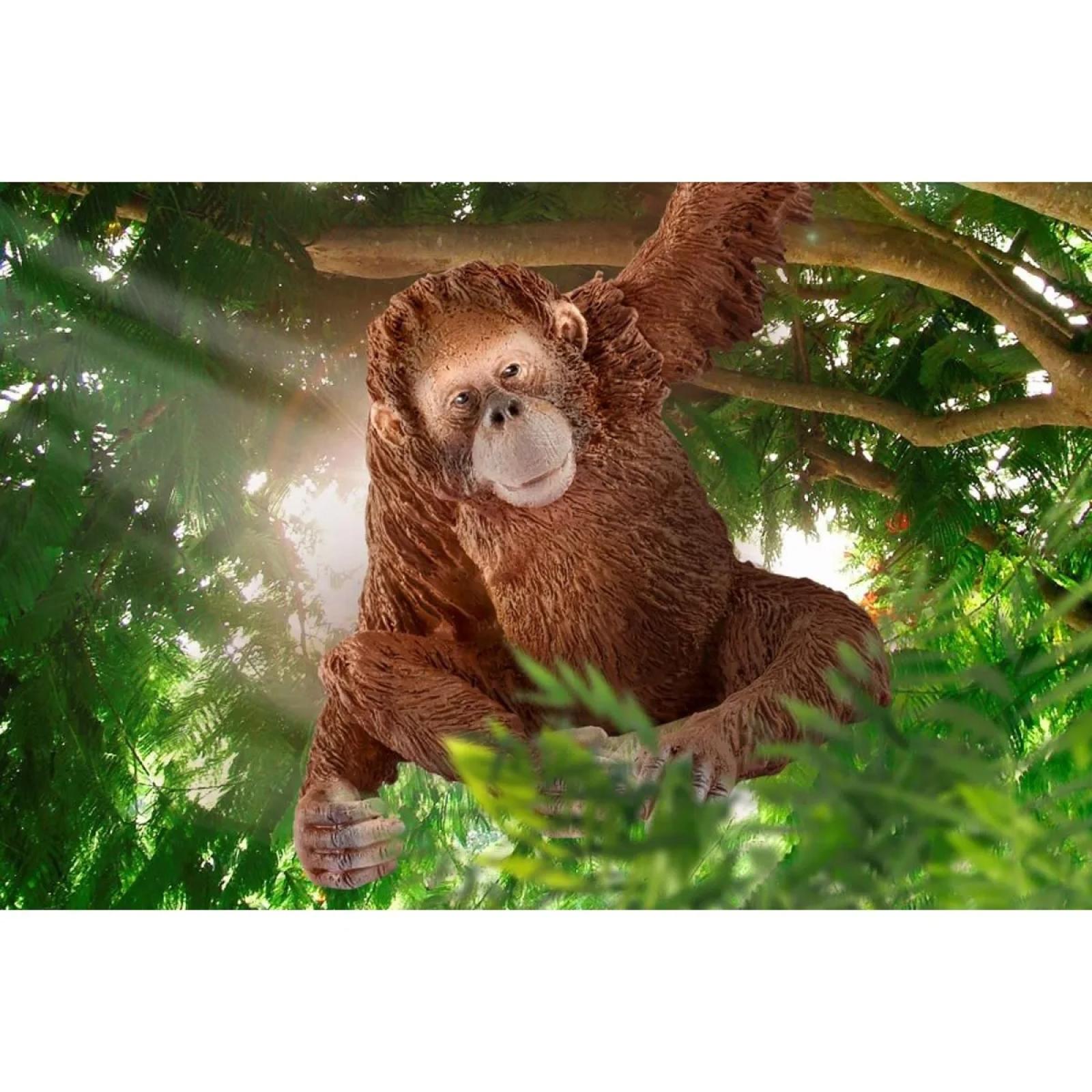 Schleich Orangutan
