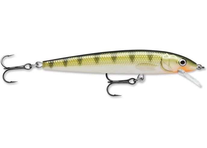 Yellow Perch