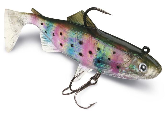 Rainbow Trout