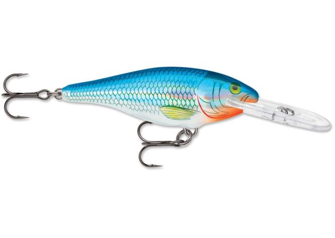 Holographic Blue Shiner