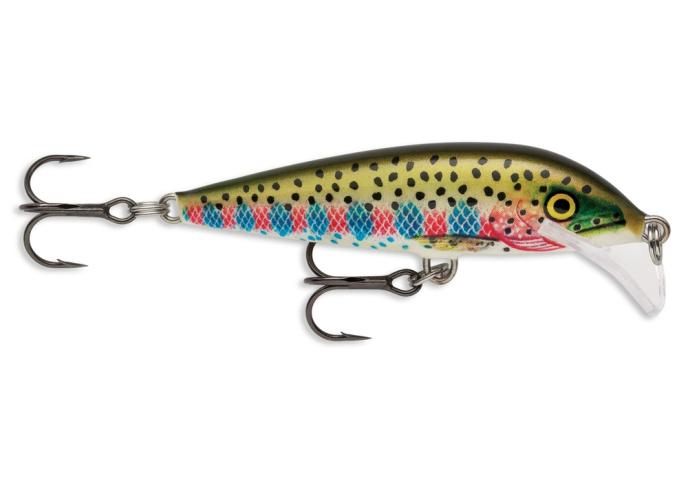 Rainbow Trout