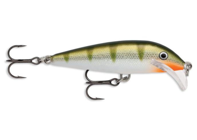 Yellow Perch
