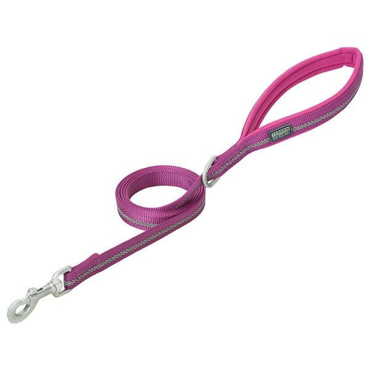 Terrain D.O.G. Reflective Neoprene Lined Dog Leash 