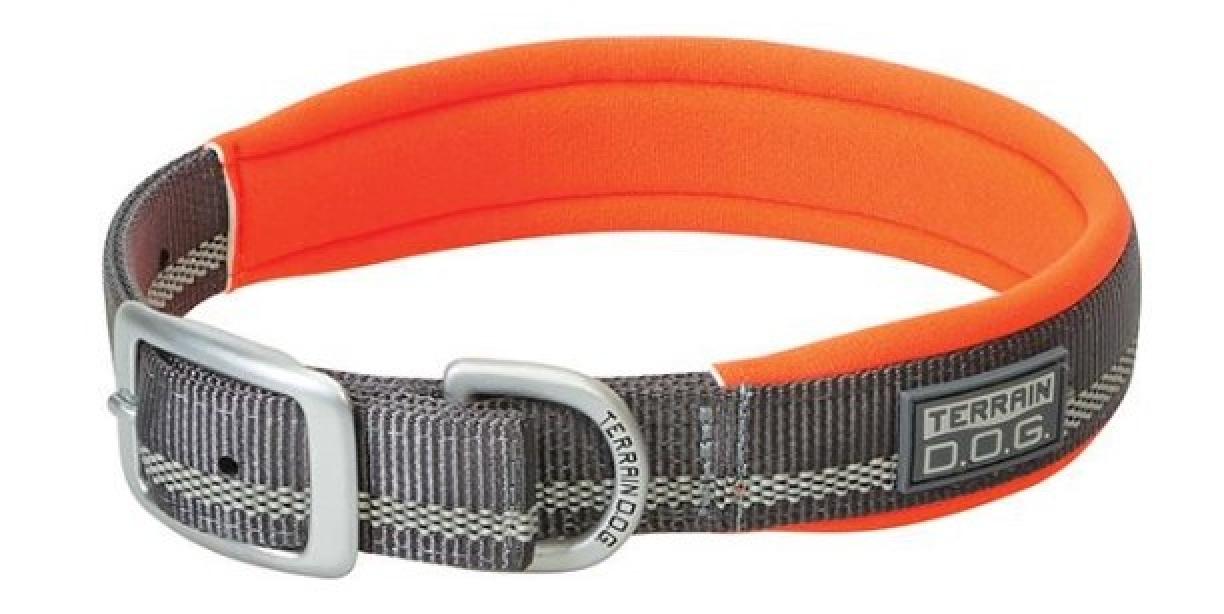 Terrain D.O.G. Reflective Neoprene Lined Dog Collar