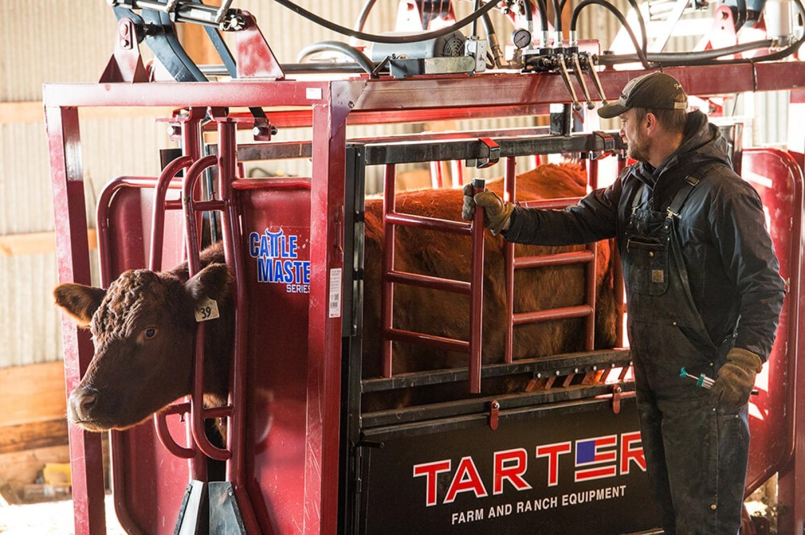 Tarter Cattlemaster Hydraulic Chute