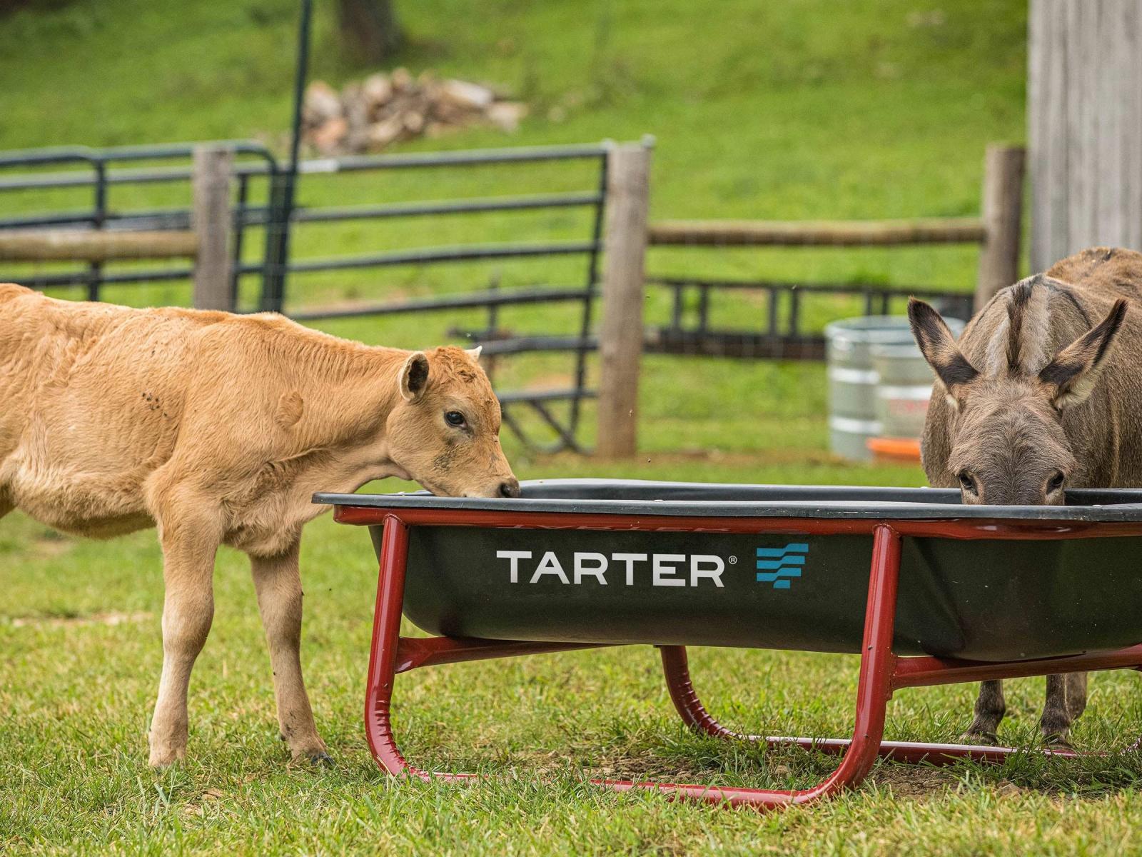 Tarter Heavy-Duty Bunk Feeder