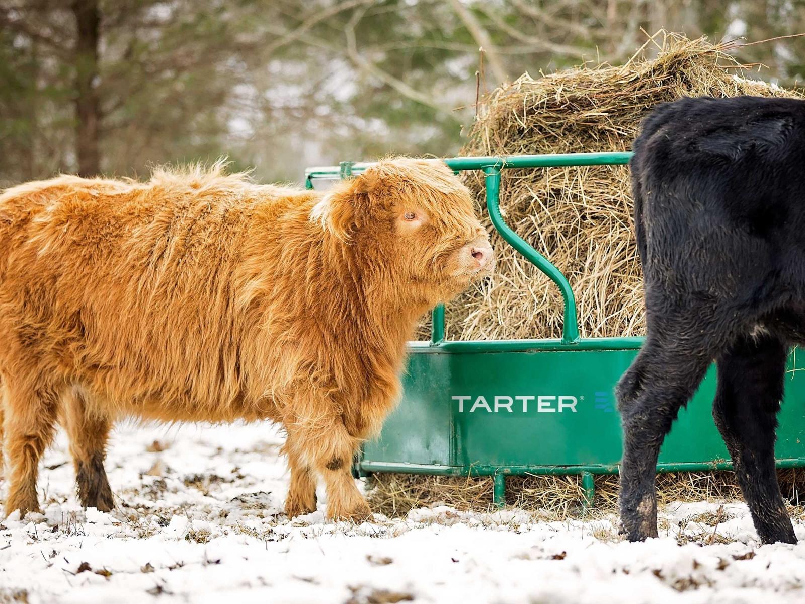 Tarter Cattle Flex Closed Top Feeder