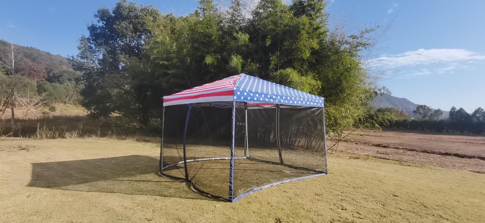 Backyard Expressions 10'x10' American Flag Pop Up Canopy