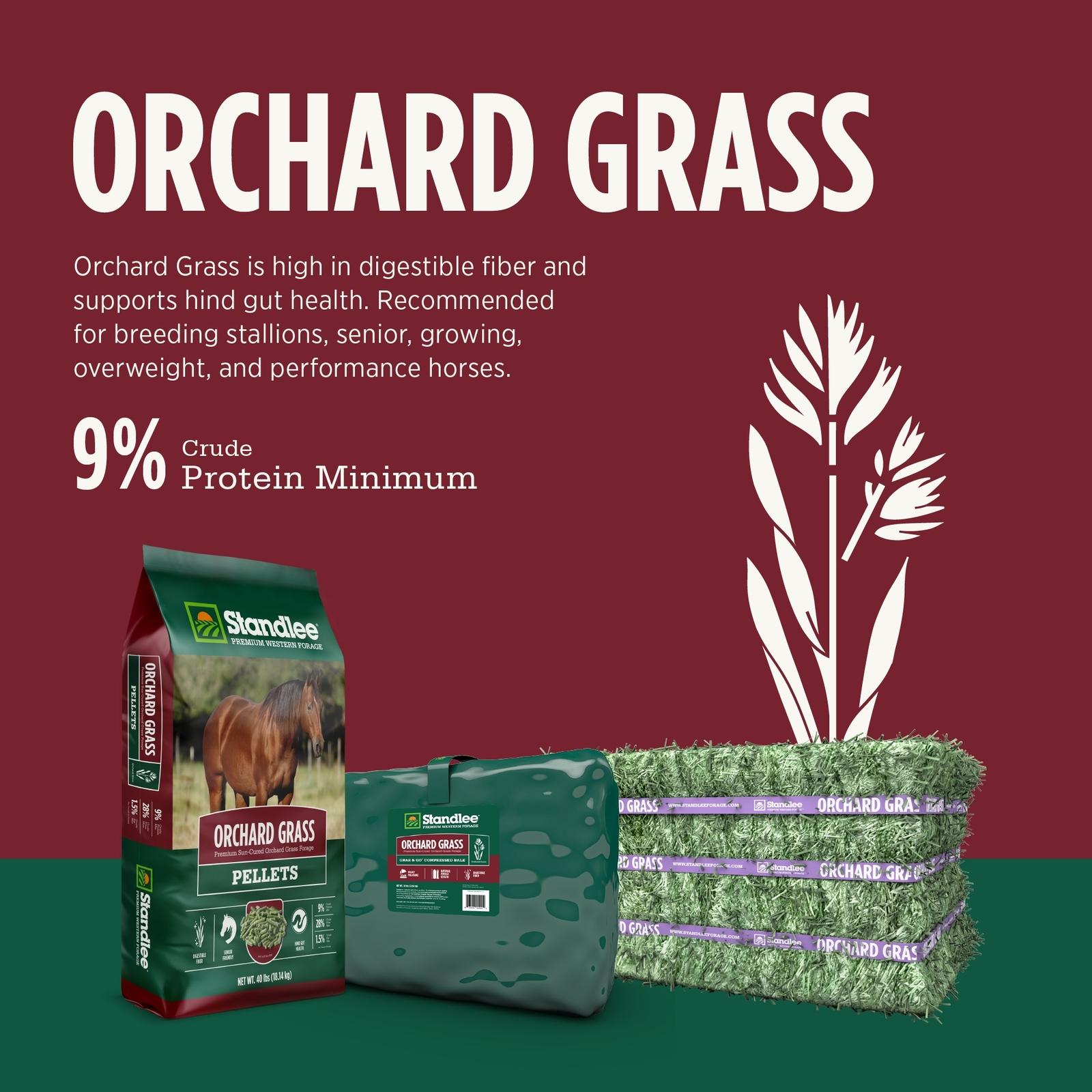 Standlee Premium Orchard Grass Compressed Bale
