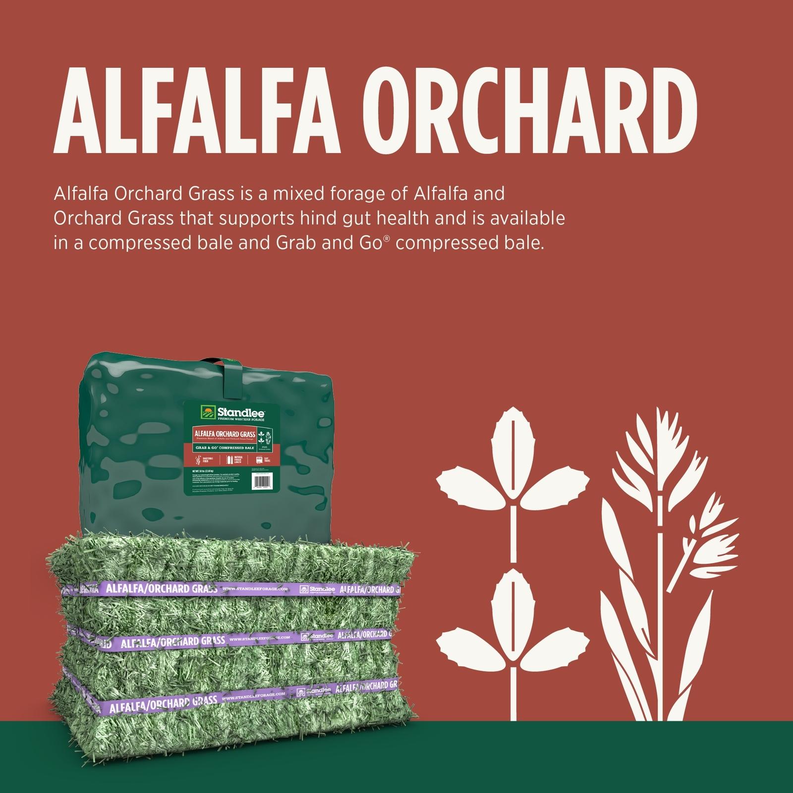 Standlee Premium Compressed Alfalfa/Orchard Bale