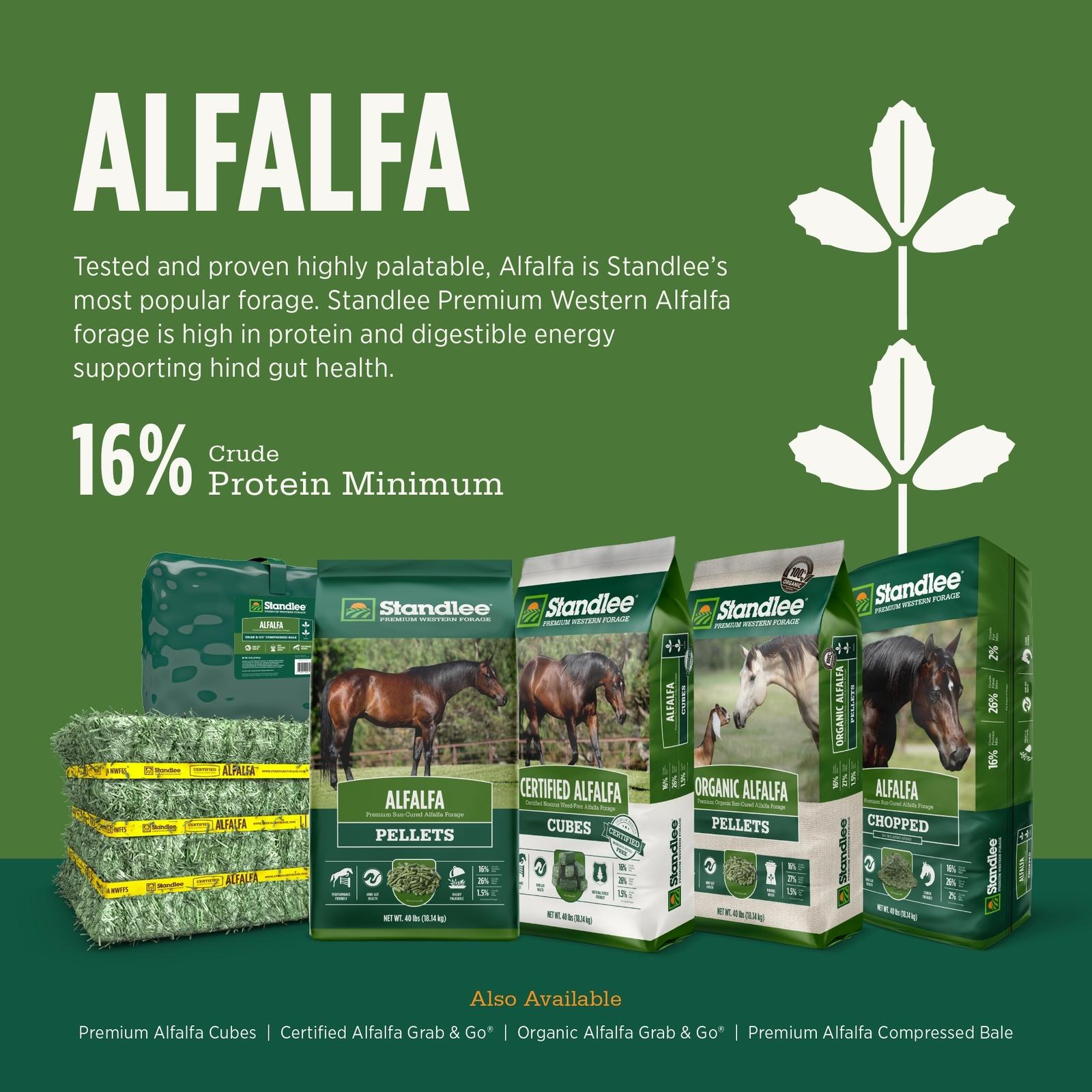 Standlee Certified Alfalfa Grab & Go Compressed Bale