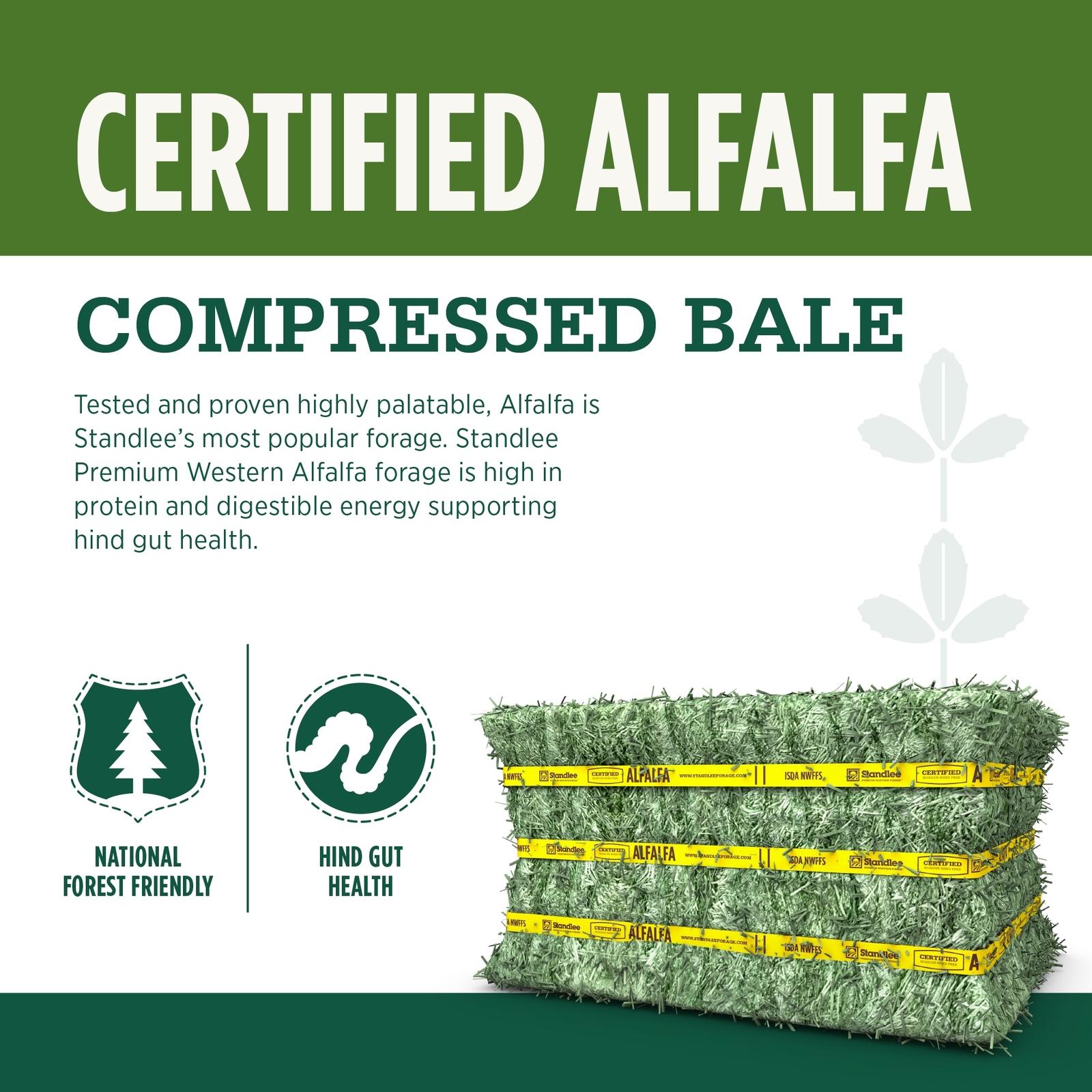 Standlee Certified Alfalfa Compressed Bale